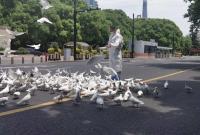 �Ϻ�������� ����V��������������Ͷι