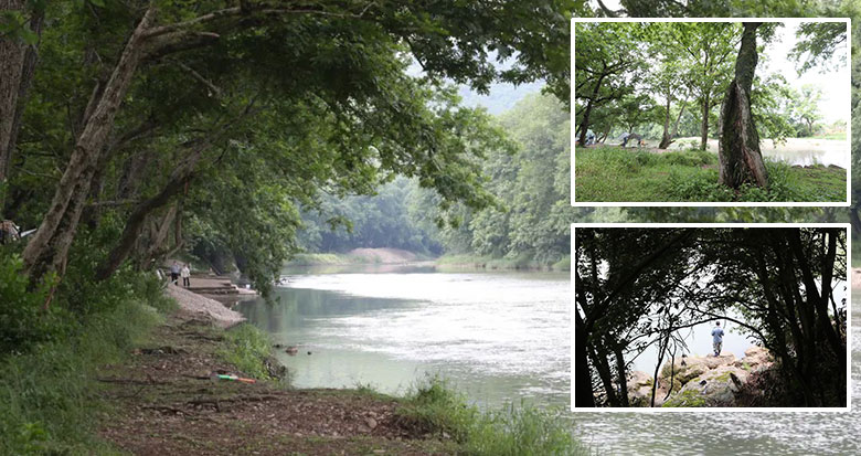 �������¡���ˮ�����������@Ƭ���GҰ��ۙ��������