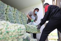 �����������󡰲˻@�ӡ��Ј�����(f��)��