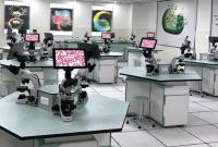 ����һ��I(y��)�Q������˹ȫ��300��(qi��ng) �o׷С�׺��F��é�_