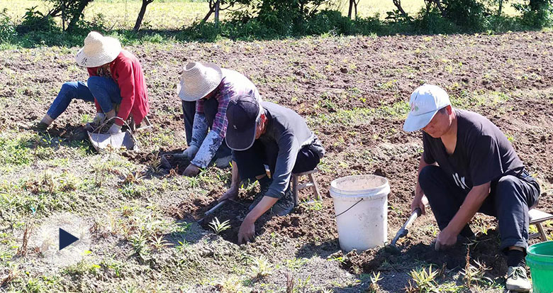 ��ʳ؛ӛ | ������ؐ����ס��ؐĸ�ĸ��c��