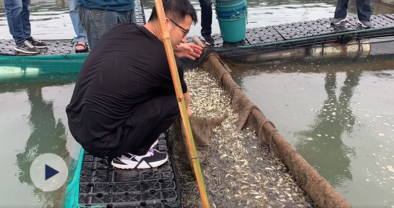 ����(sh��)�˲�֪����400���fβ�~�����@�Ӕ�(sh��)������