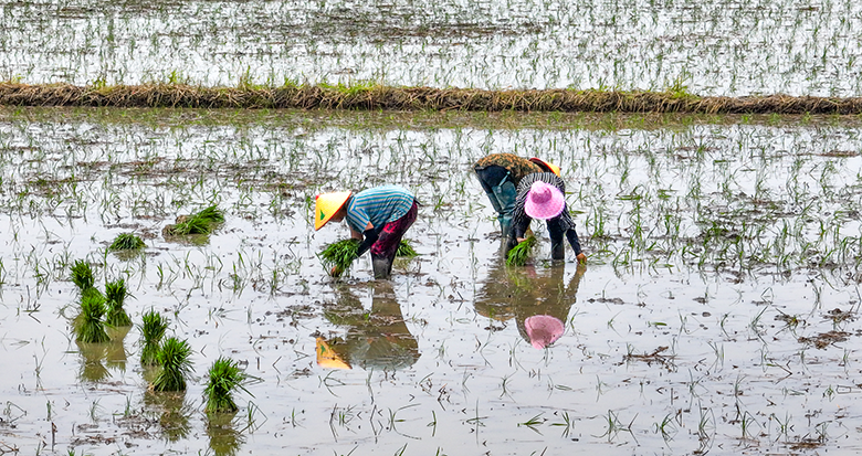 â�N����æ ���^�ȝM�}