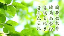��������B(y��ng)����  �������t(y��)������ô�f