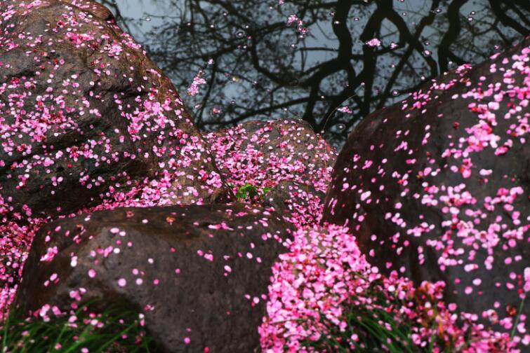 ҹ��(l��i)�L(f��ng)�� ����֪����