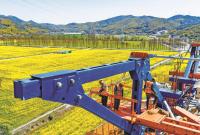 ��푳��l(xi��ng)�ںϡ�����������