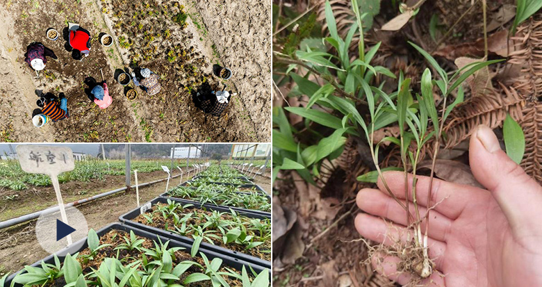 ��̫�յ����g ������ˮ��ؐĸ�N��"�Ƽ���"