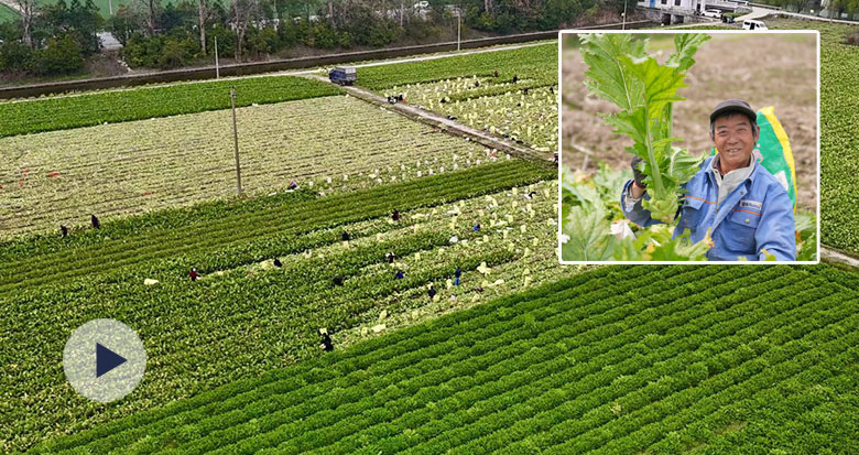 ��Ҧե���_(k��i)�� ����˵Ŀ옷(l��)��(l��i)��